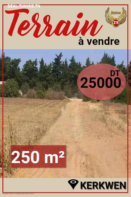 deal tunisie annonce