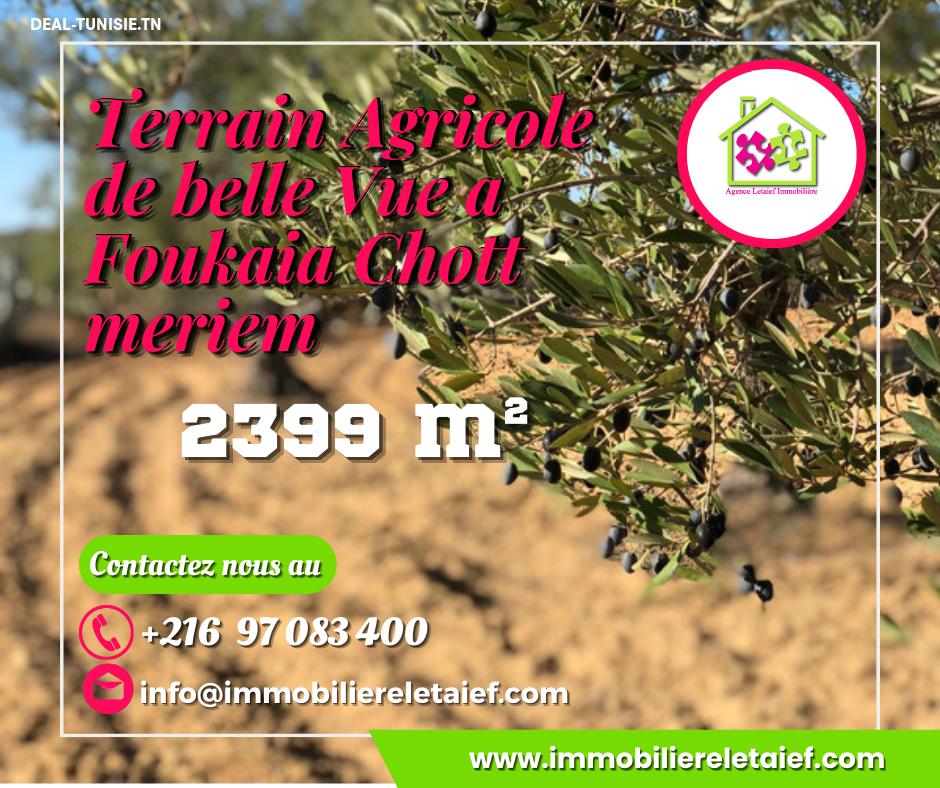 deal tunisie annonce