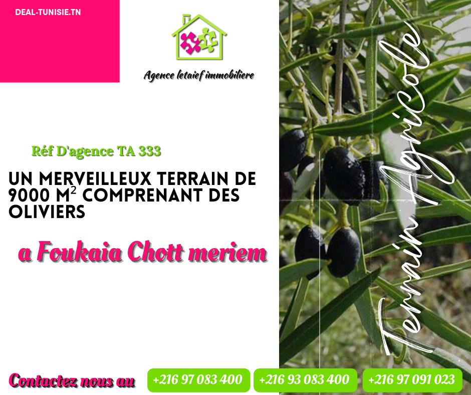 deal tunisie annonce