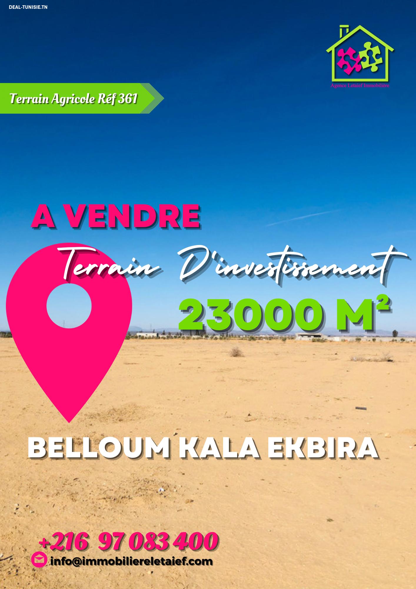 deal tunisie annonce