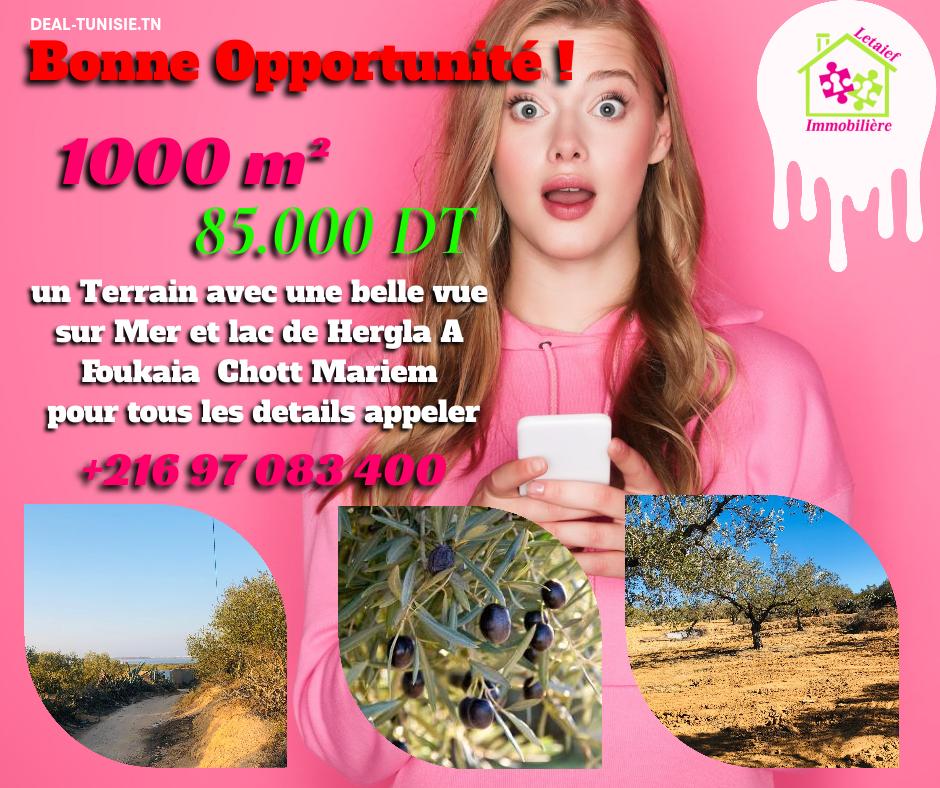 deal tunisie annonce
