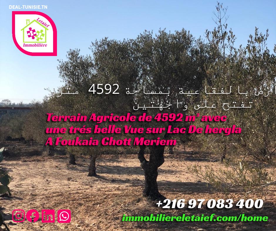 deal tunisie annonce