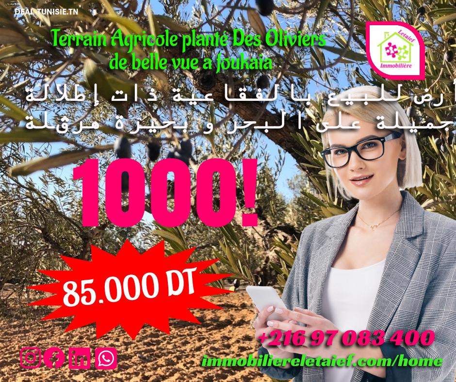 deal tunisie annonce