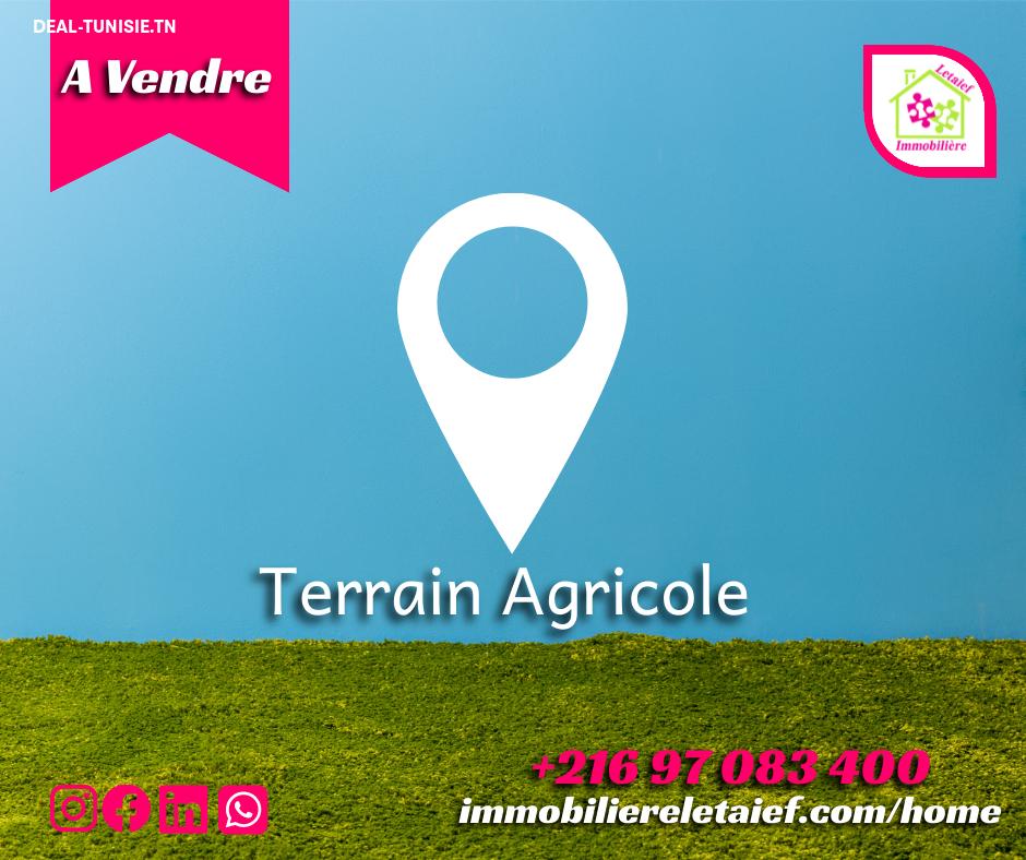 deal tunisie annonce