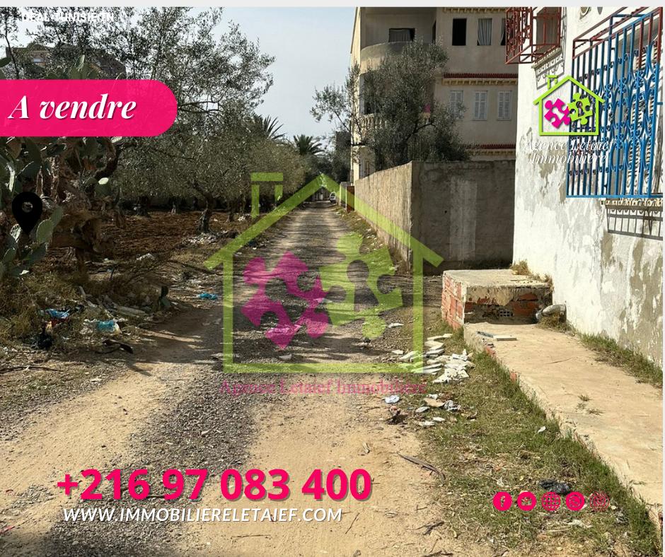 Image Annonce Deal-tunisie