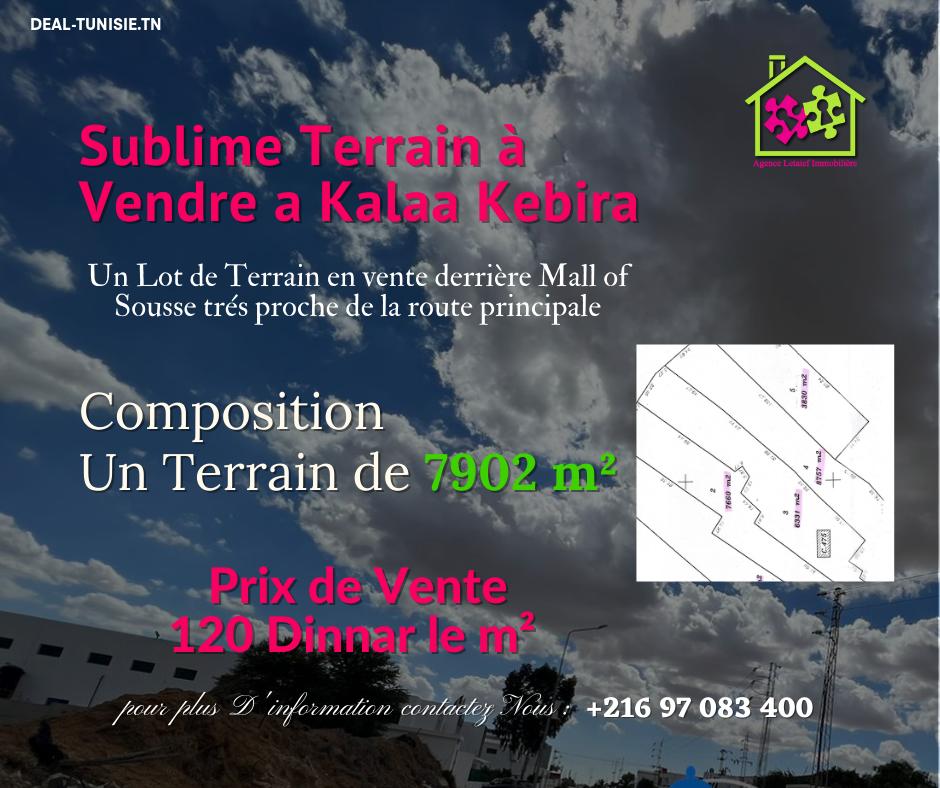 deal tunisie annonce
