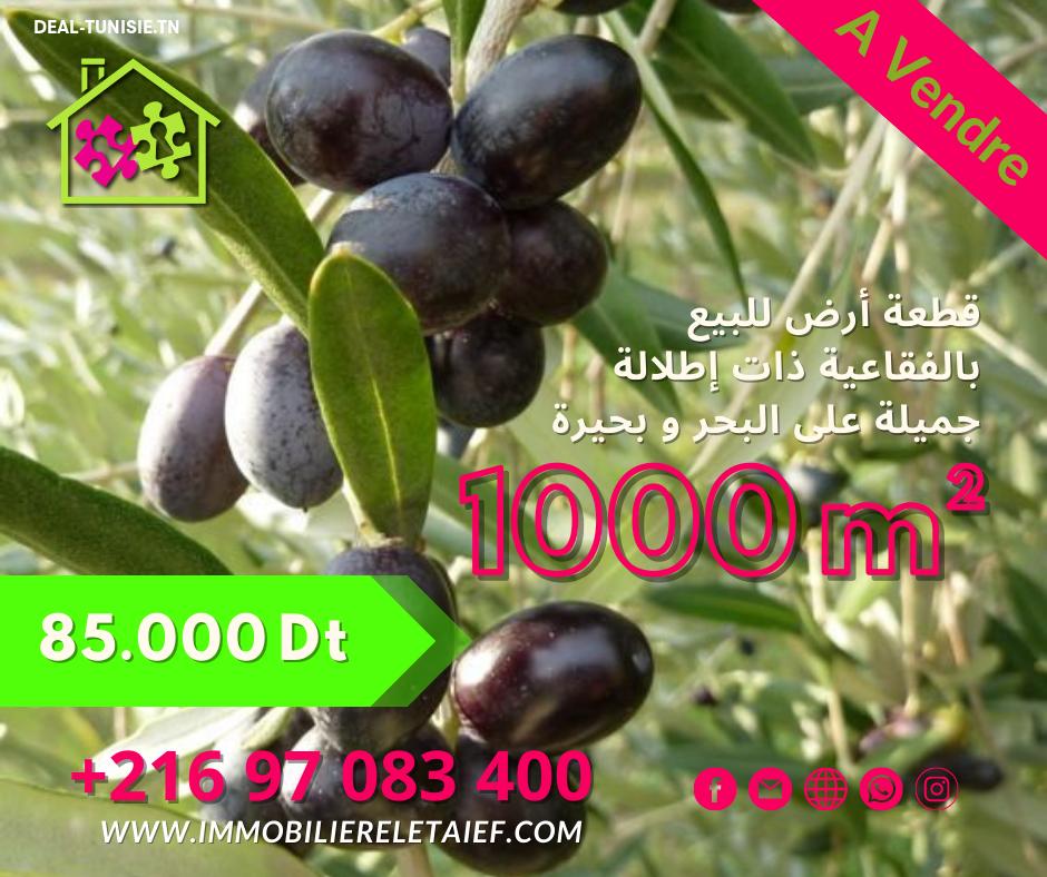 deal tunisie annonce