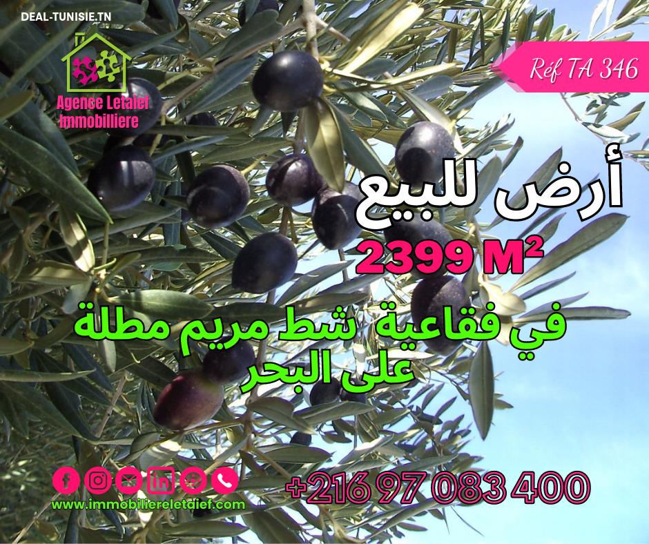 deal tunisie annonce