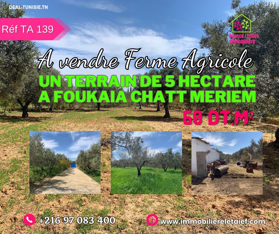 deal tunisie annonce