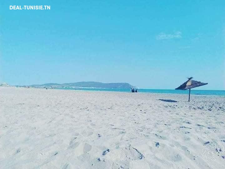 deal tunisie annonce