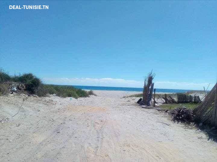 Image Annonce Deal-tunisie