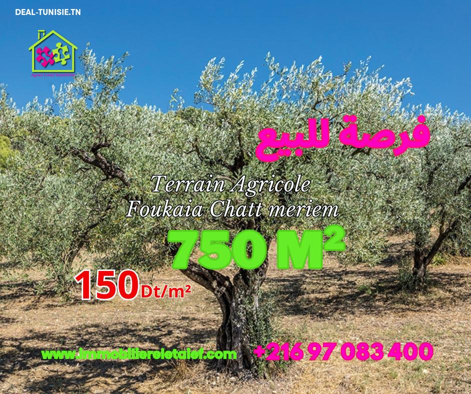 deal tunisie annonce
