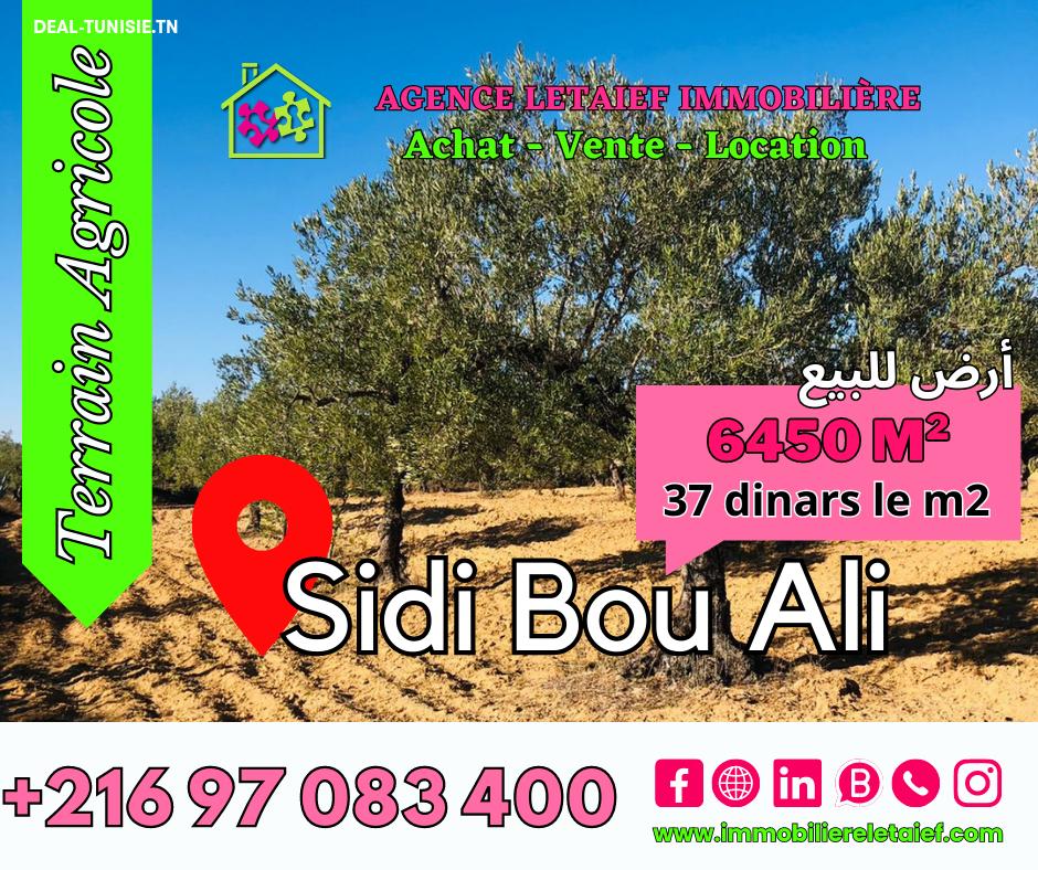 deal tunisie annonce