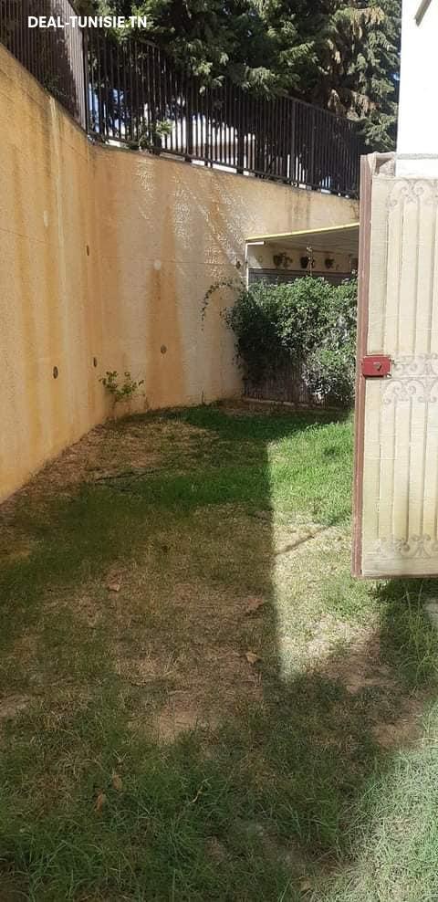 deal tunisie annonce
