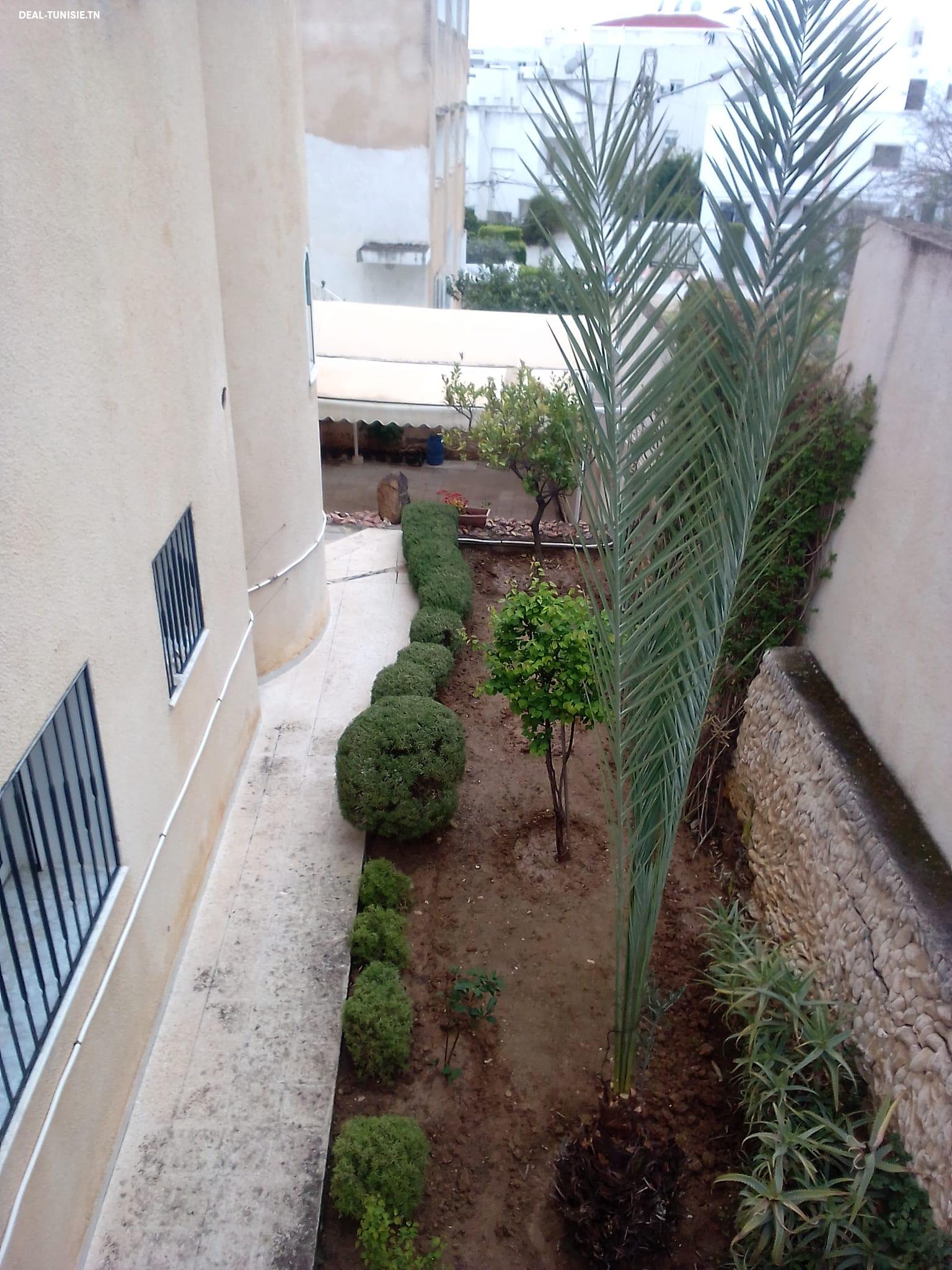 Image Annonce Deal-tunisie