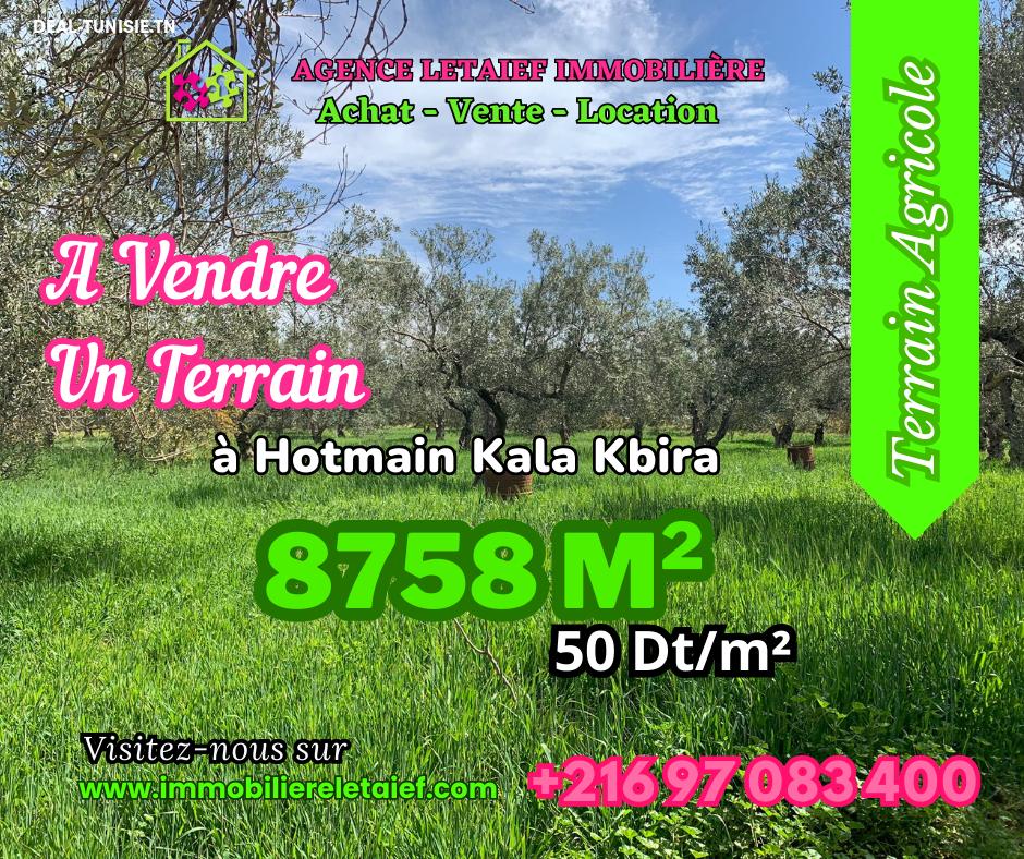 deal tunisie annonce