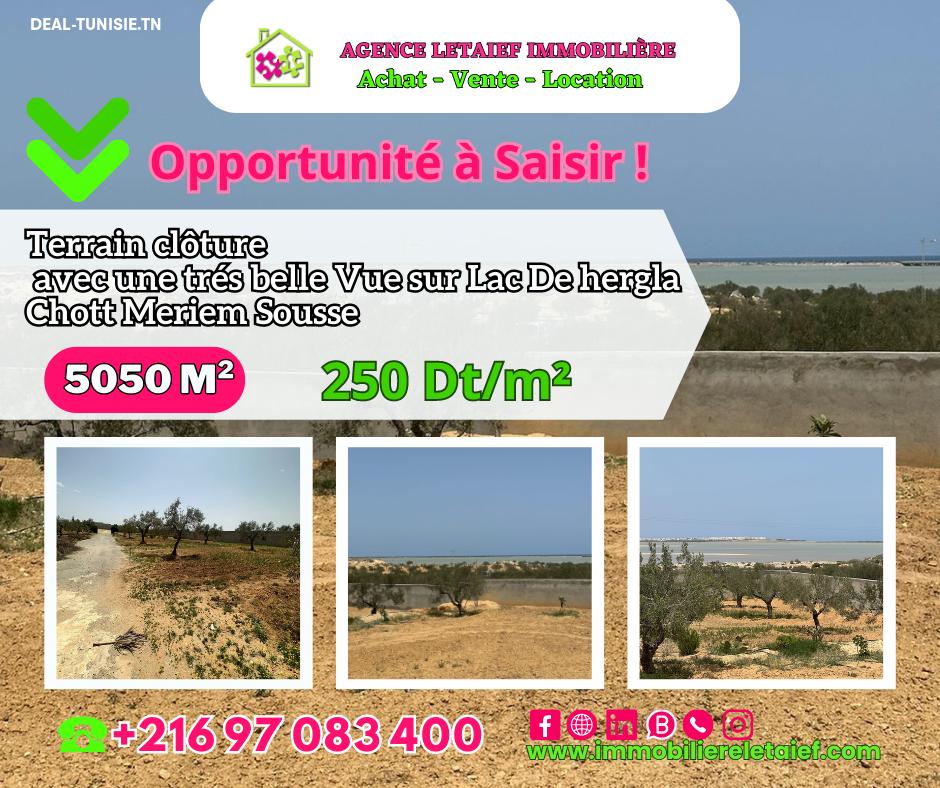 deal tunisie annonce