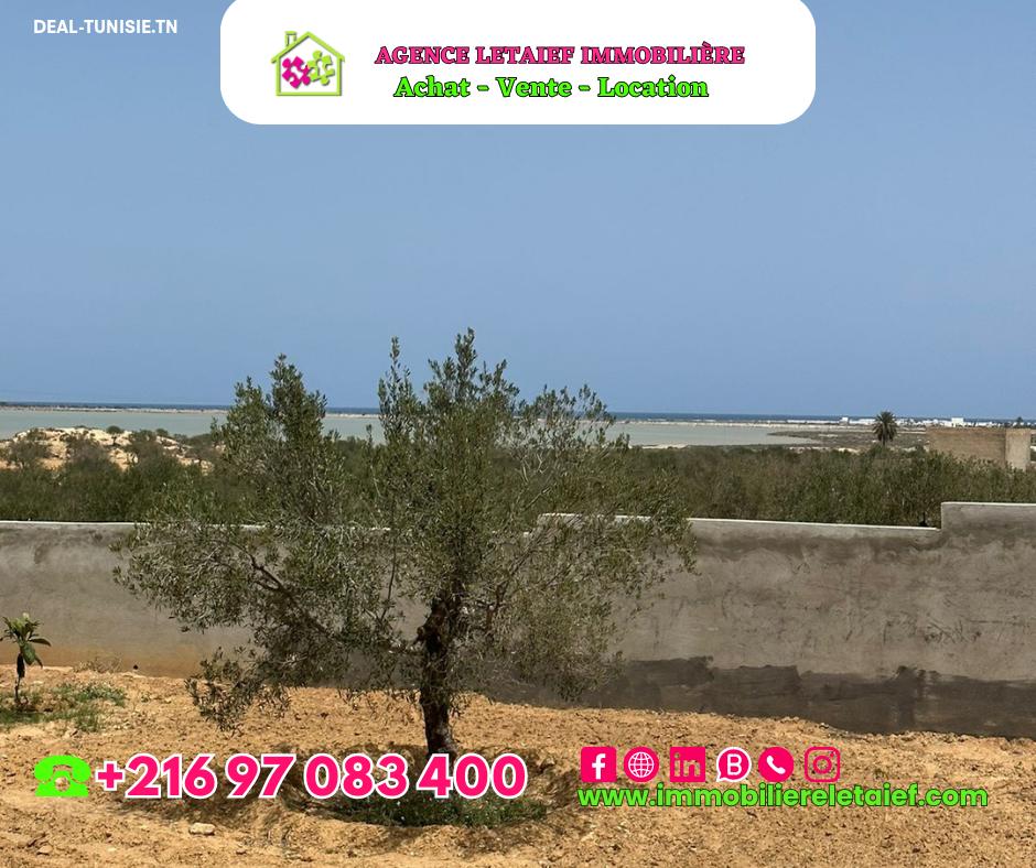 Image Annonce Deal-tunisie