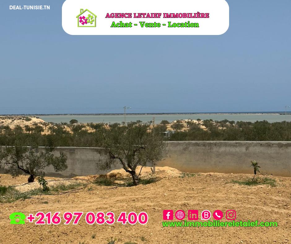 Image Annonce Deal-tunisie