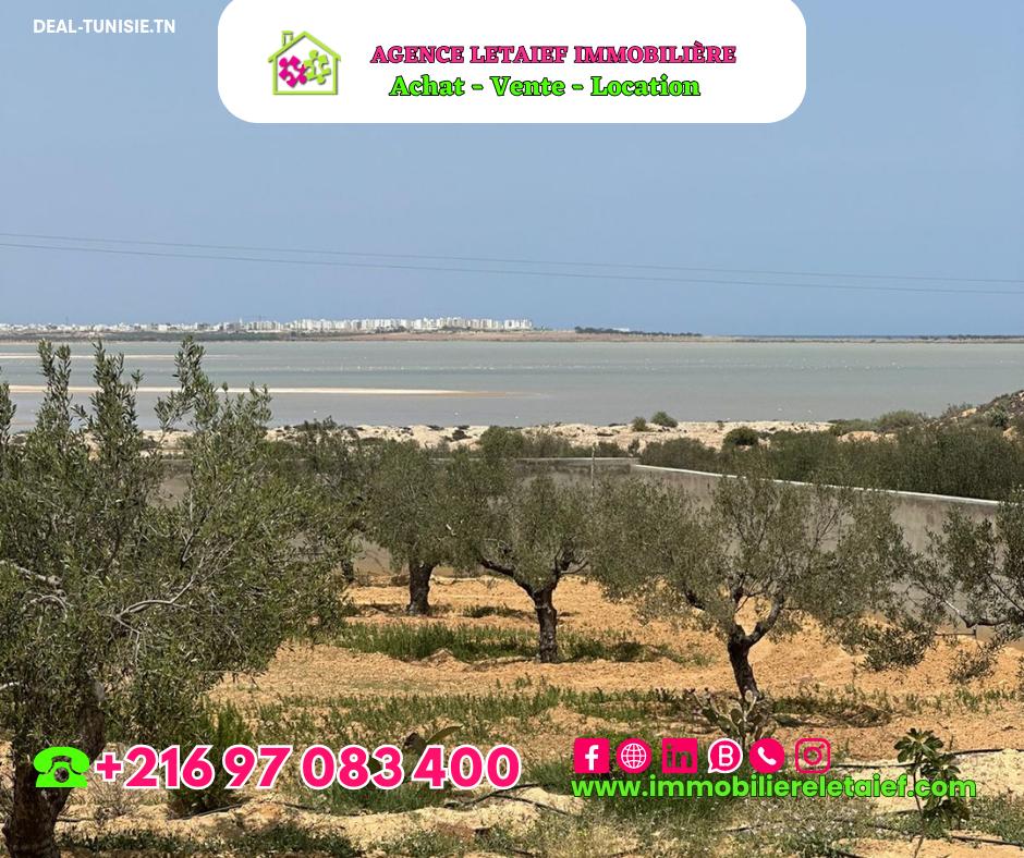 Image Annonce Deal-tunisie