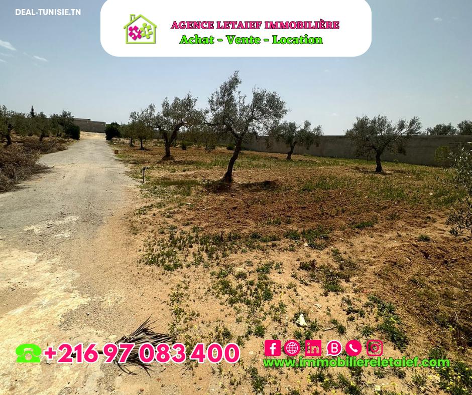 Image Annonce Deal-tunisie