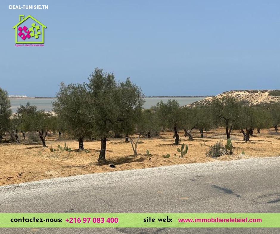 deal tunisie annonce