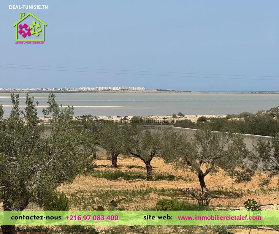 Image Annonce Deal-tunisie