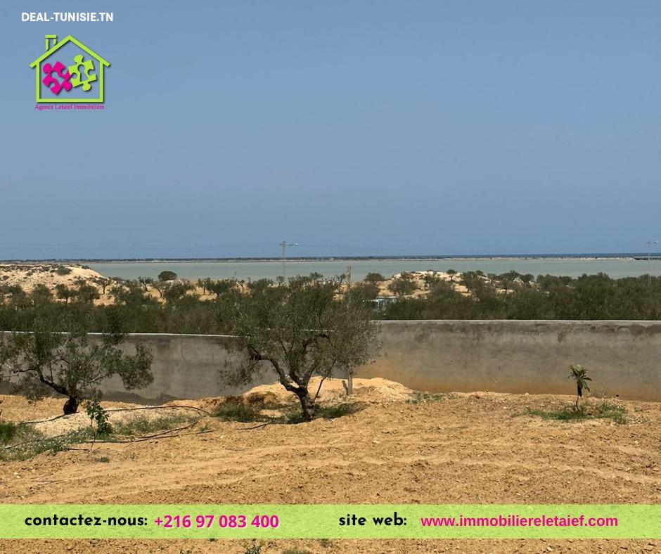 Image Annonce Deal-tunisie