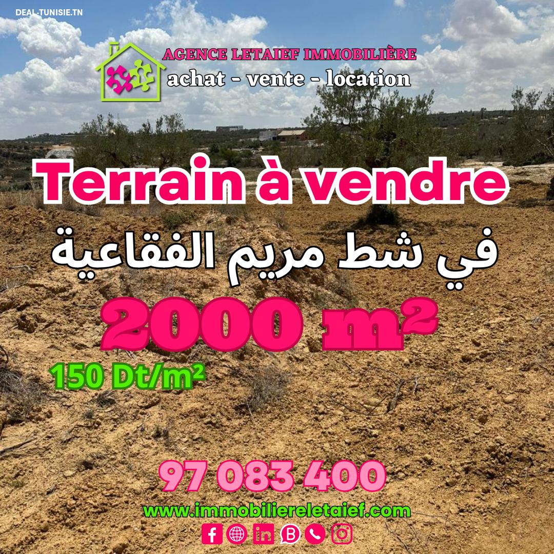 deal tunisie annonce