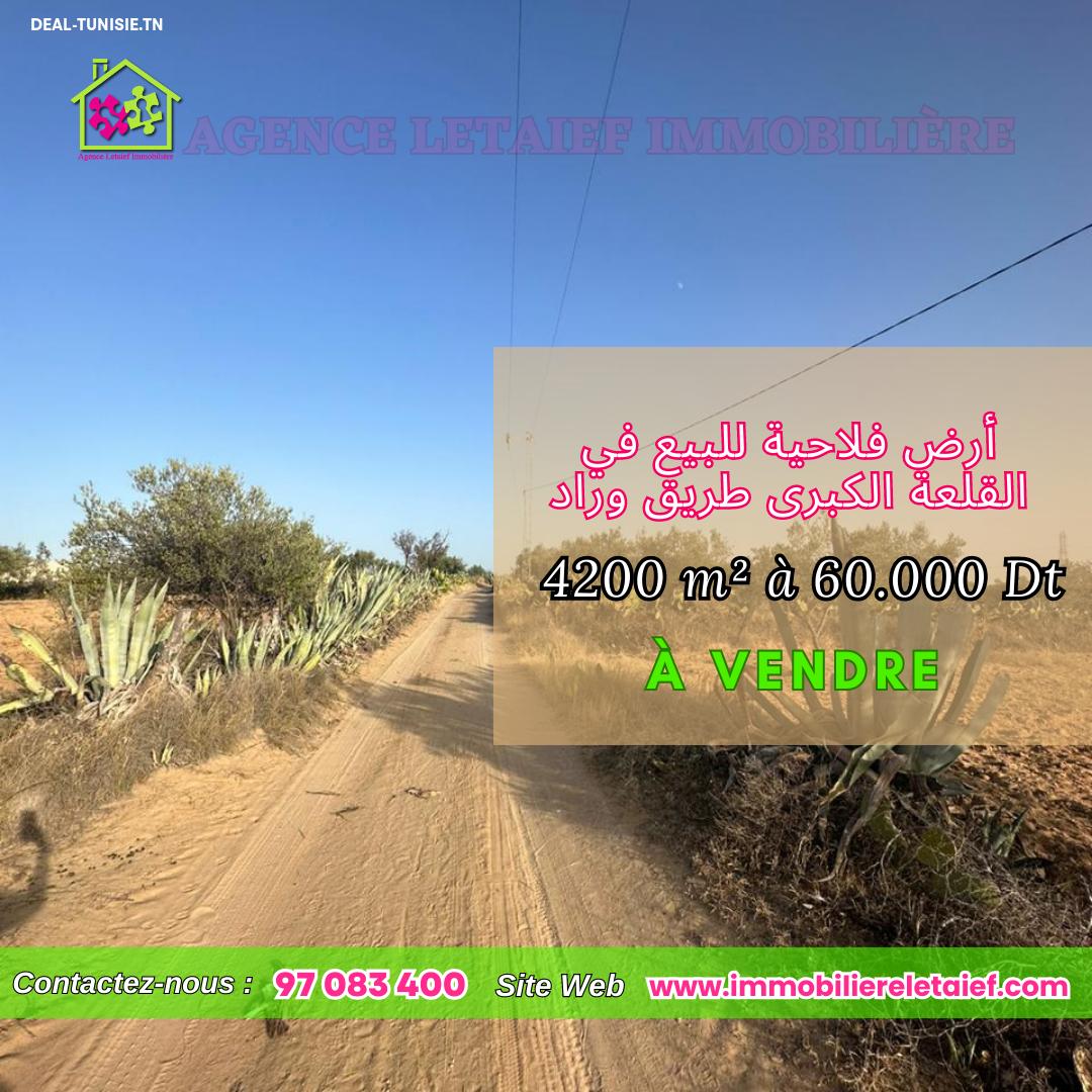 deal tunisie annonce