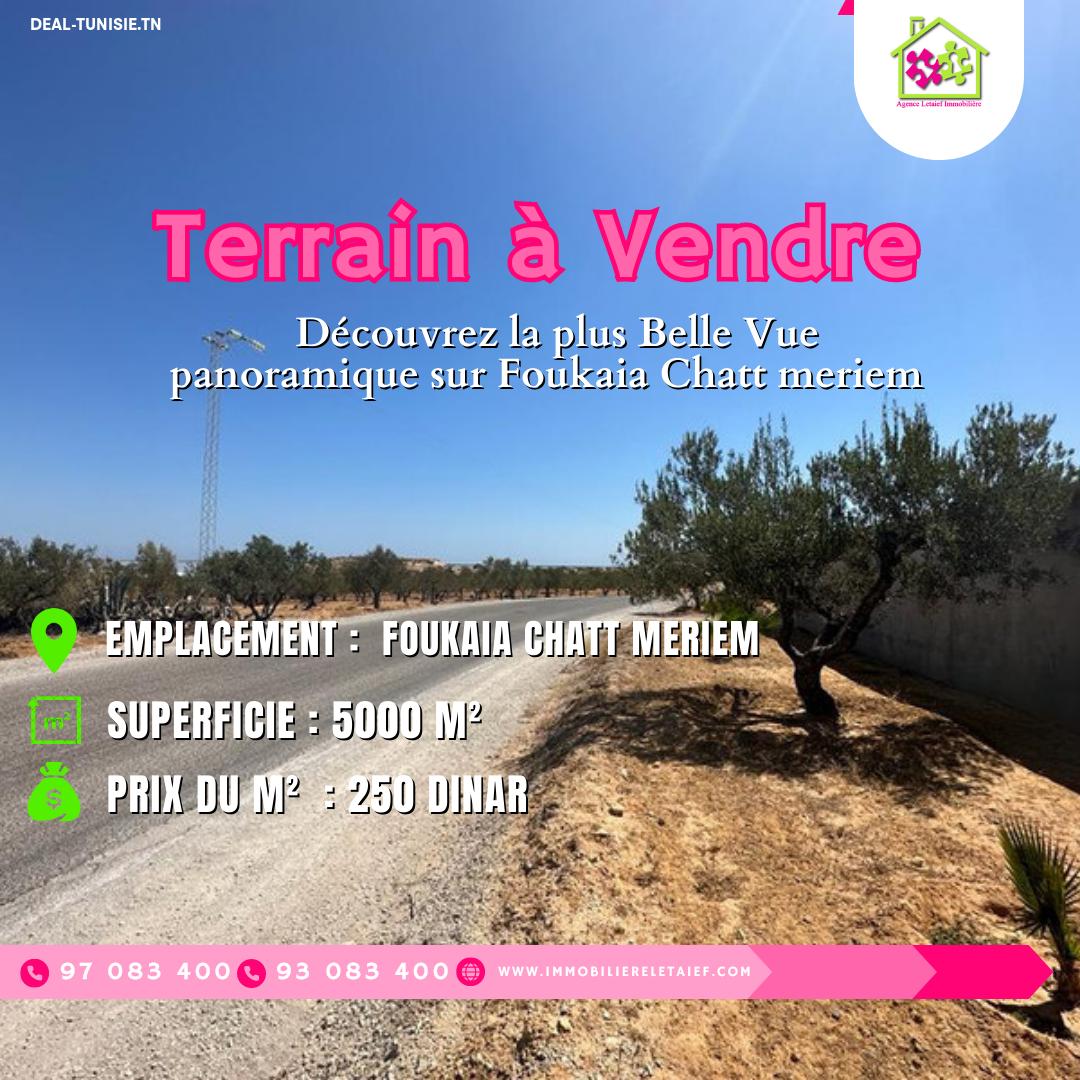 deal tunisie annonce