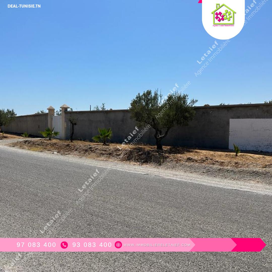 Image Annonce Deal-tunisie