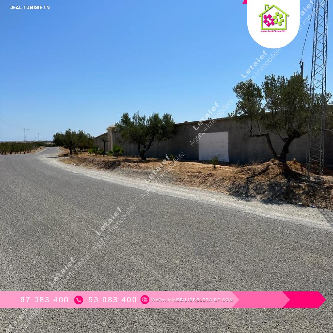 Image Annonce Deal-tunisie