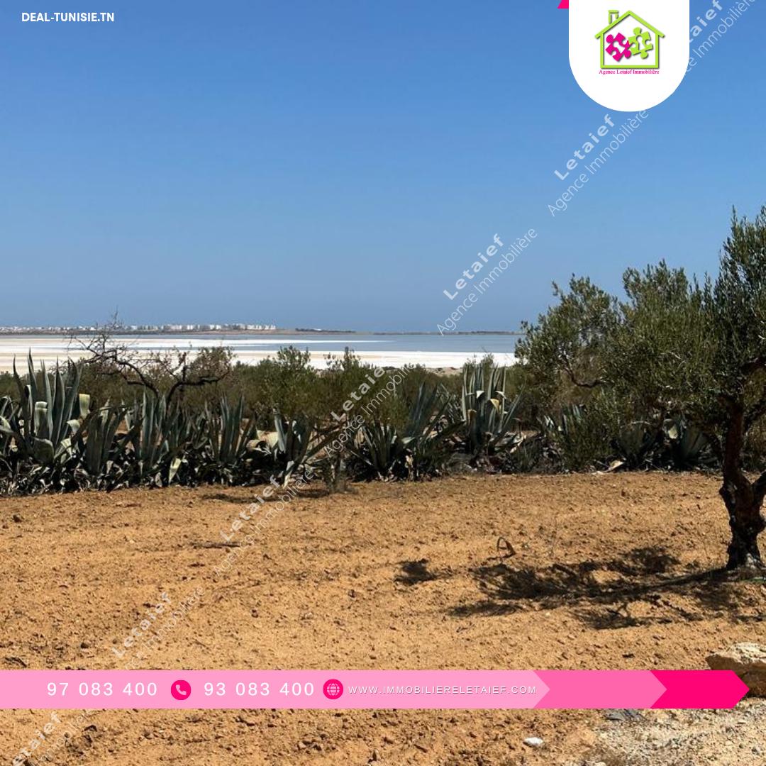 Image Annonce Deal-tunisie