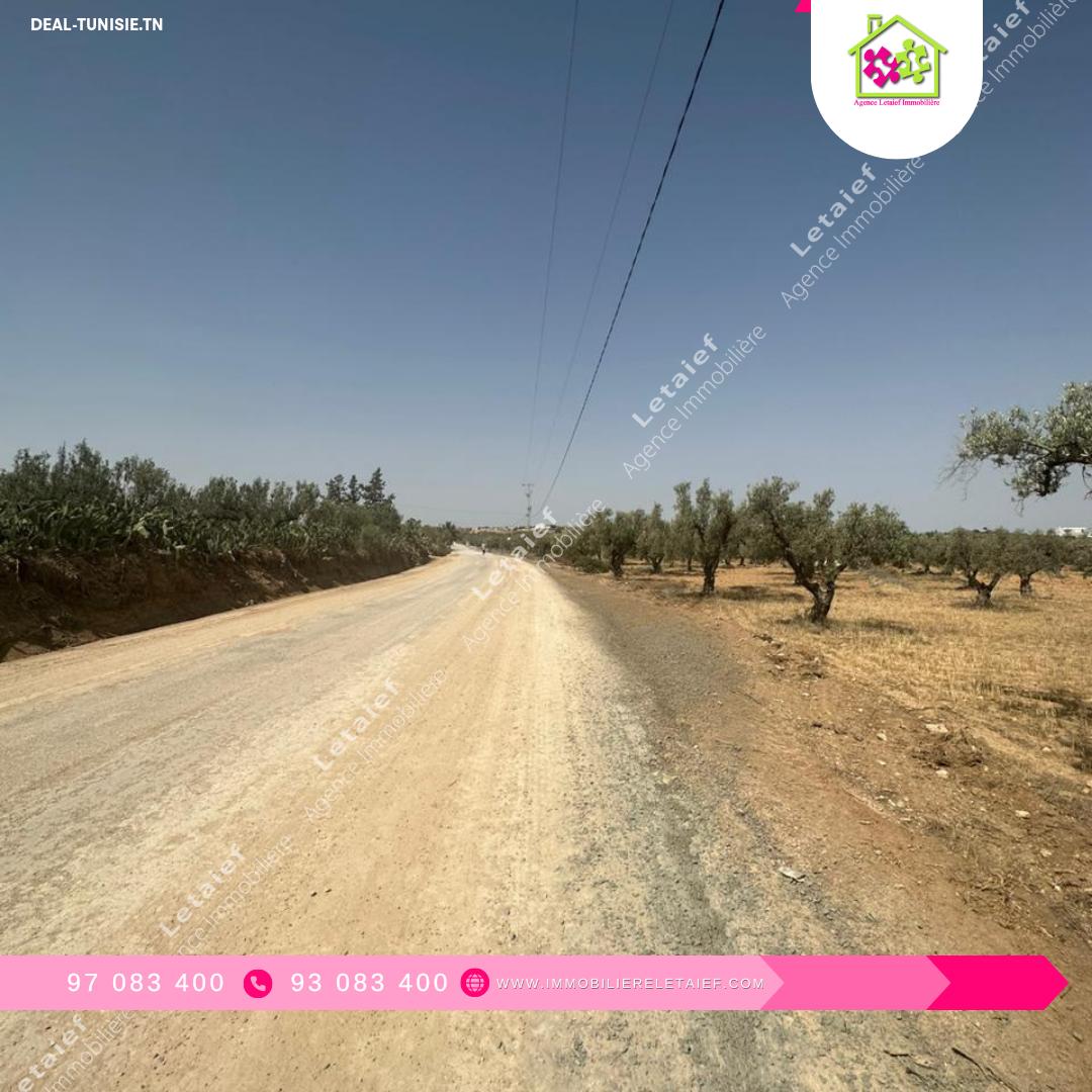 Image Annonce Deal-tunisie