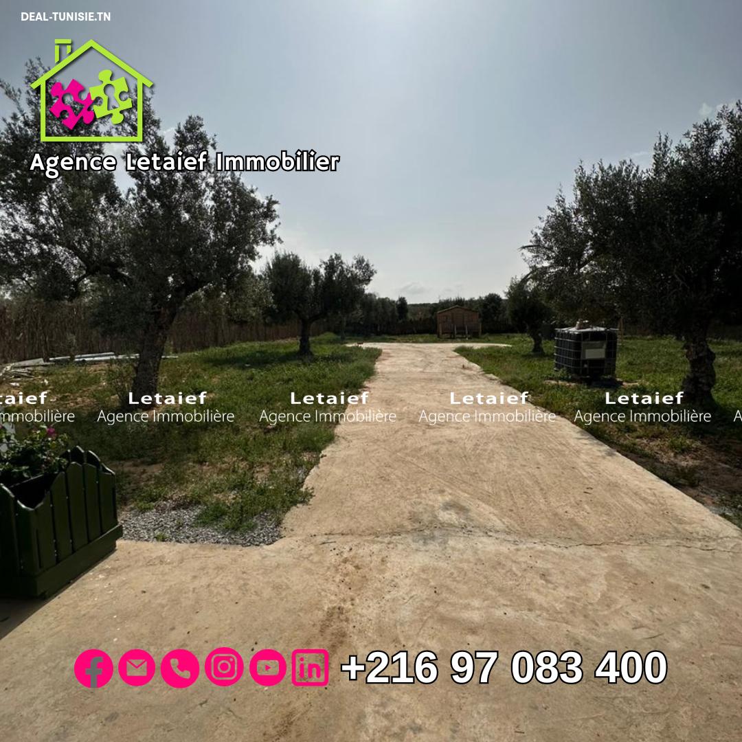 Image Annonce Deal-tunisie