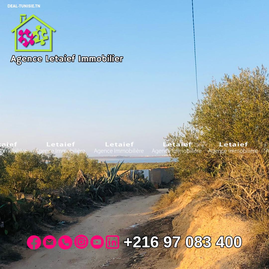 deal tunisie annonce
