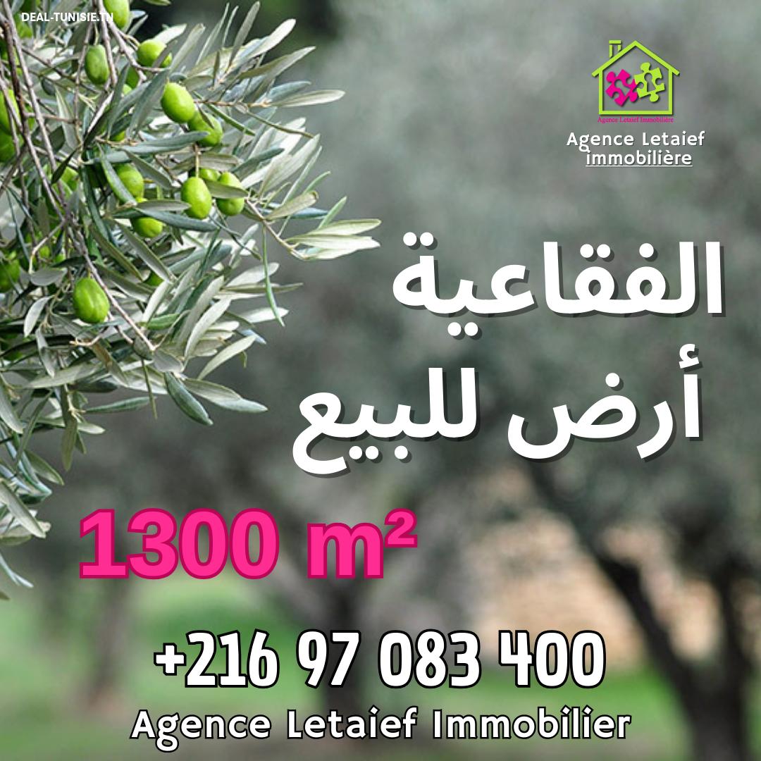 deal tunisie annonce