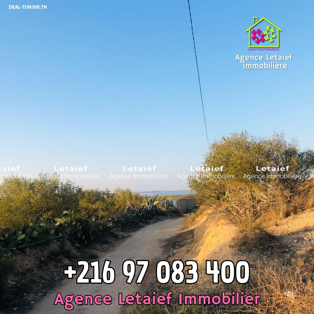 Image Annonce Deal-tunisie