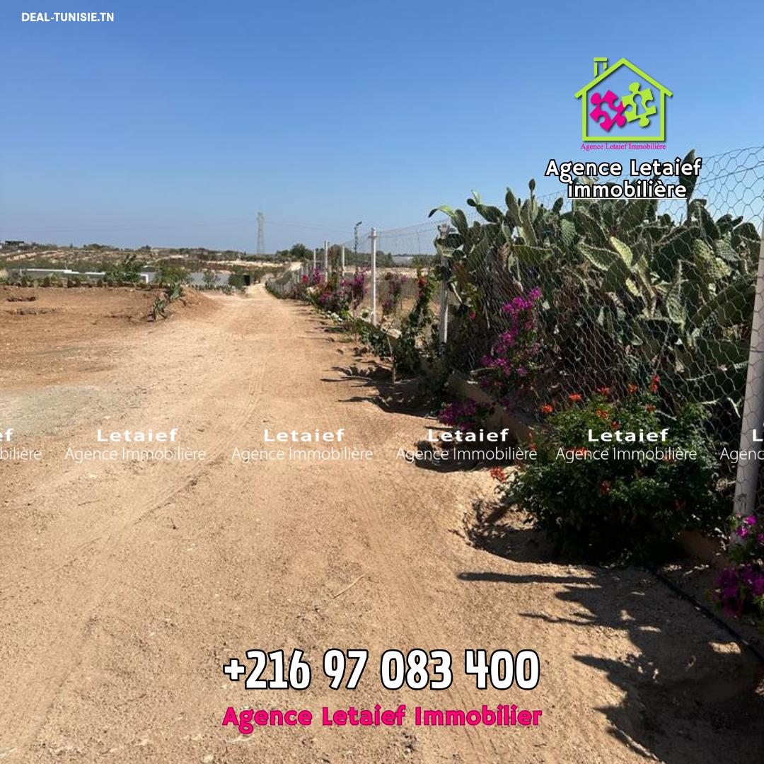 Image Annonce Deal-tunisie