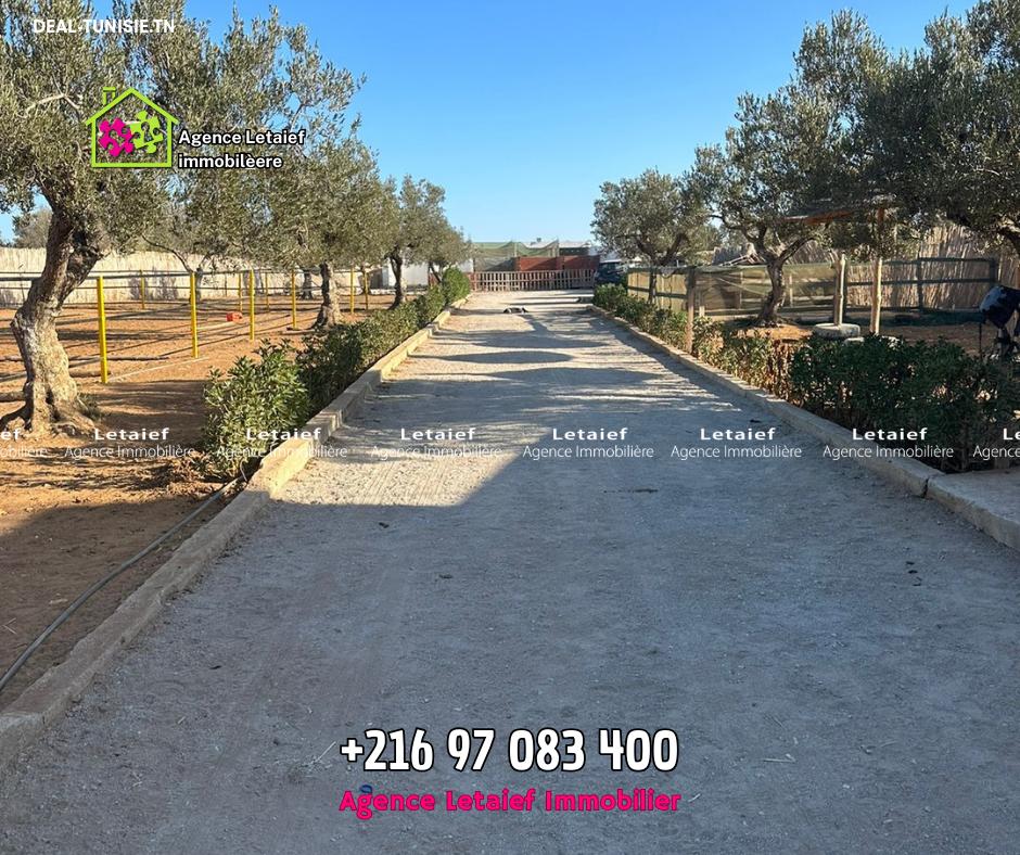 Image Annonce Deal-tunisie