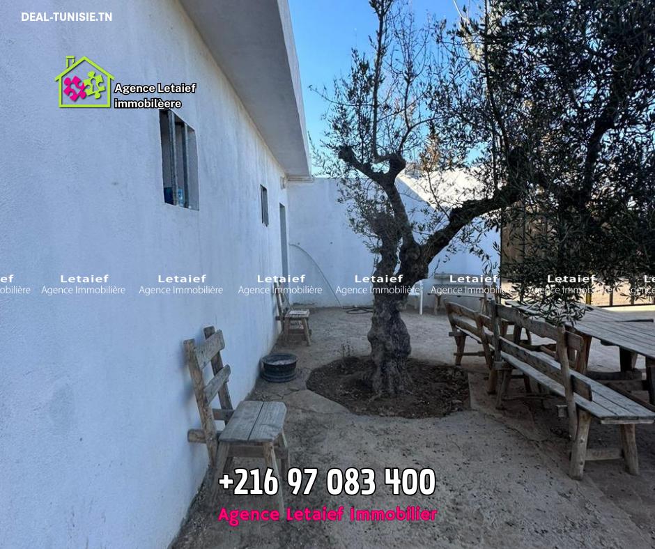 Image Annonce Deal-tunisie