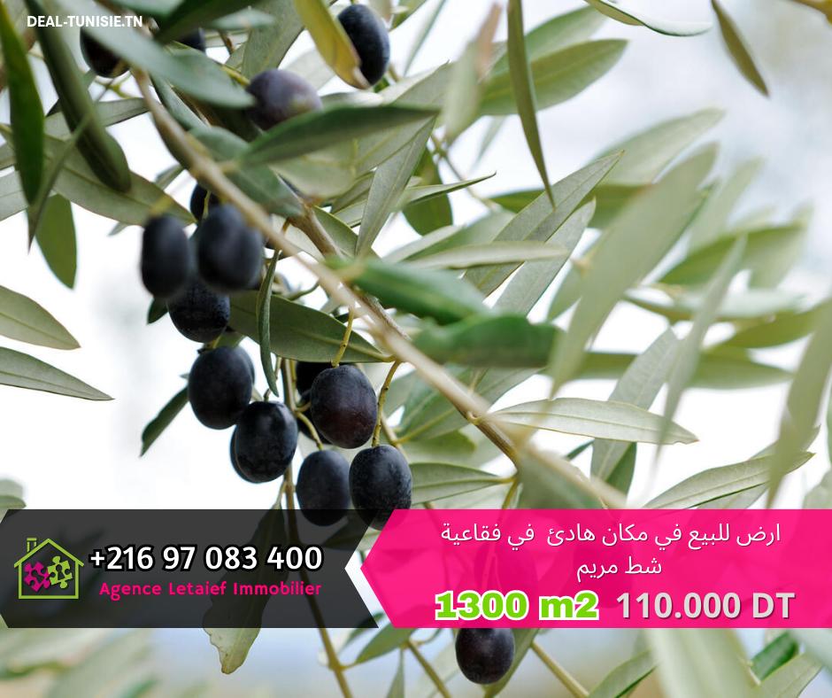 deal tunisie annonce