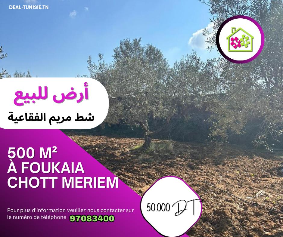 deal tunisie annonce
