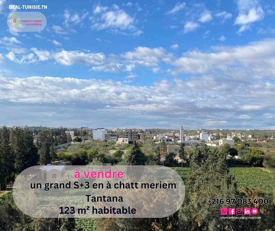 deal tunisie annonce