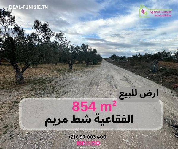 deal tunisie annonce