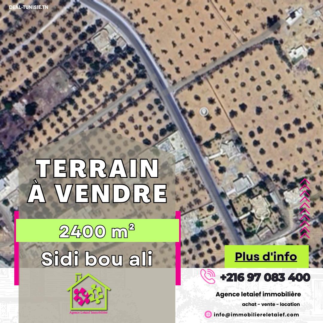 deal tunisie annonce