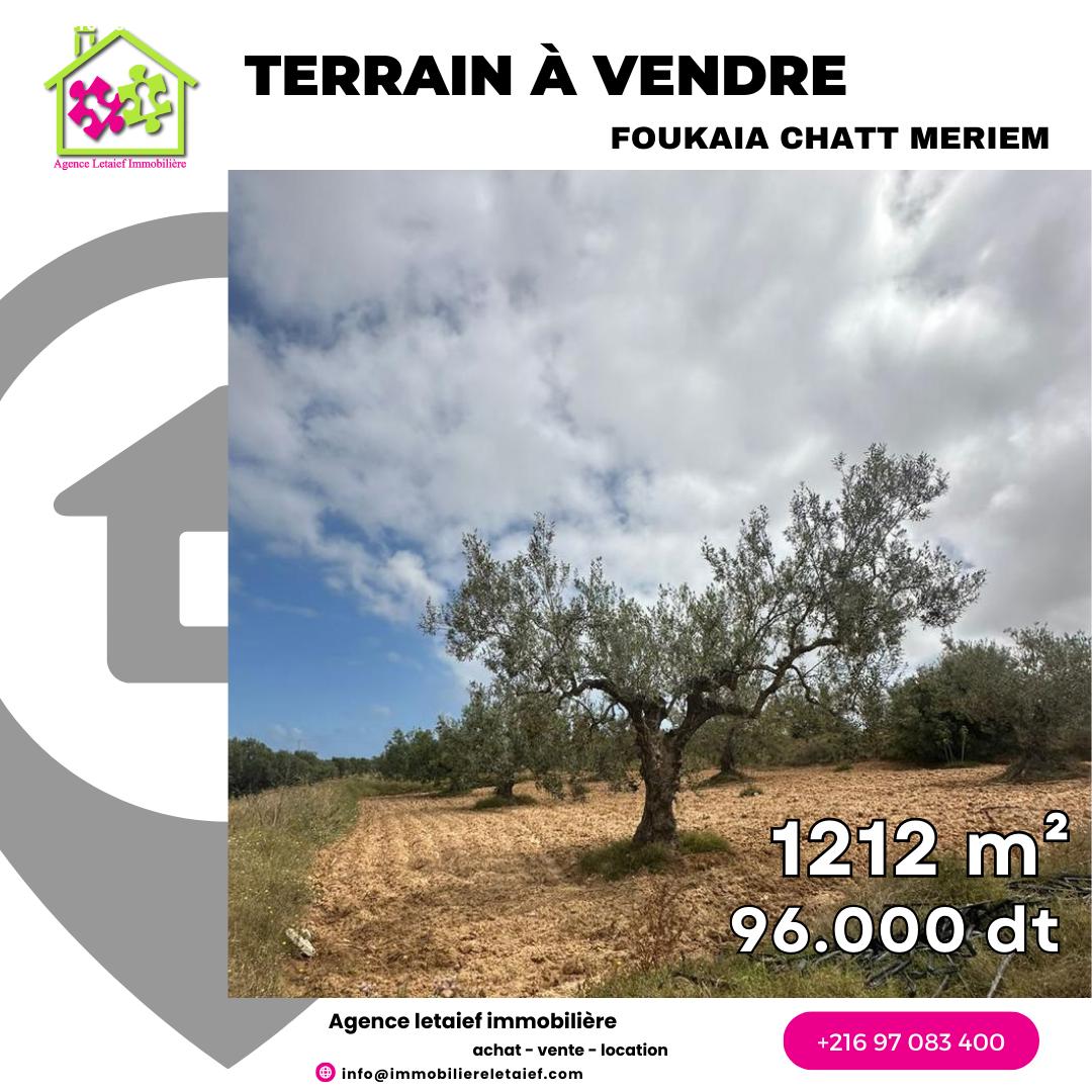 deal tunisie annonce