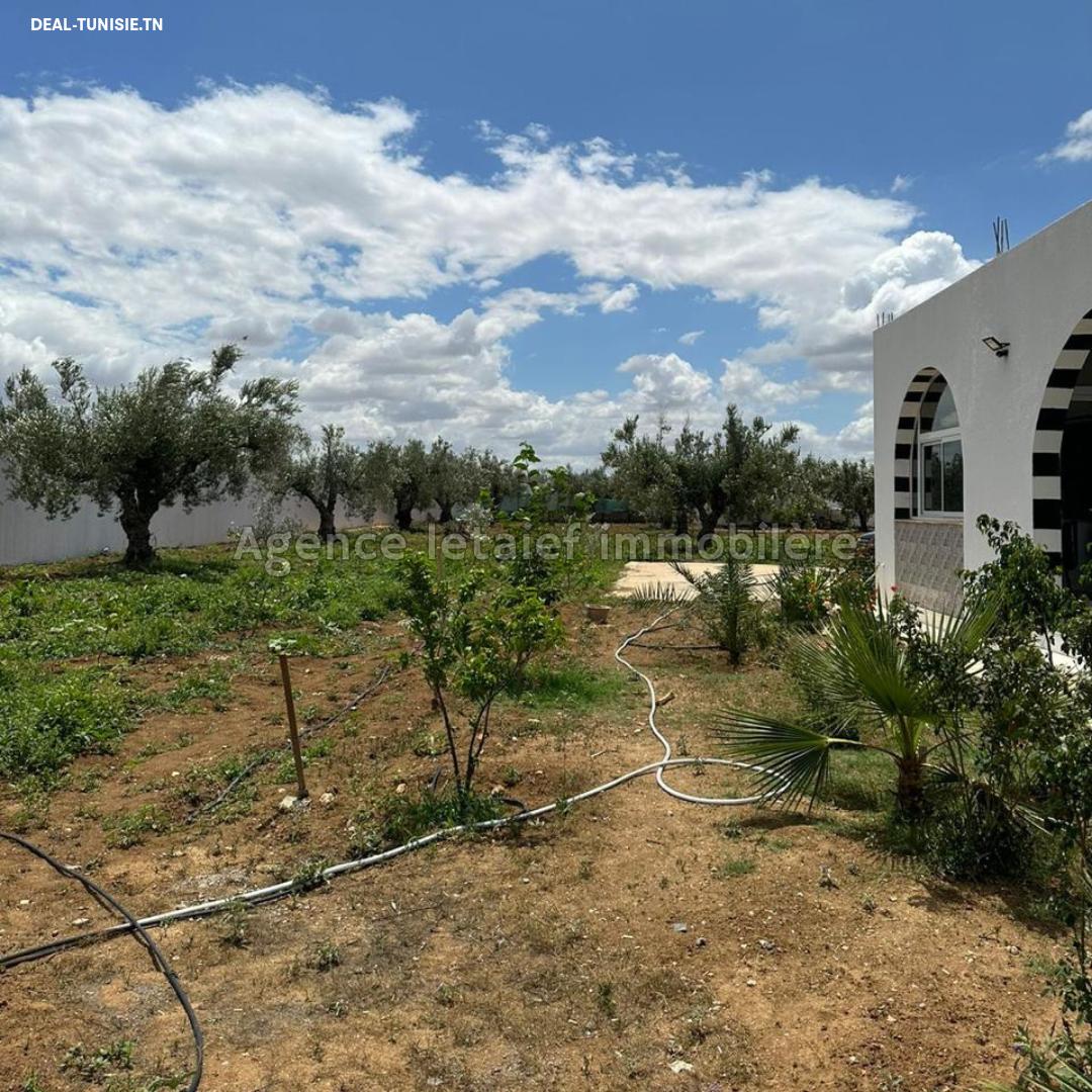 Image Annonce Deal-tunisie