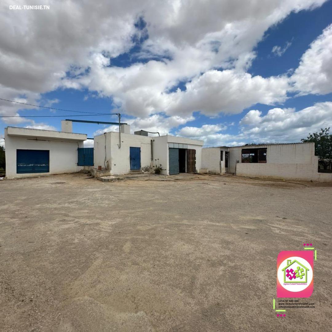 Image Annonce Deal-tunisie